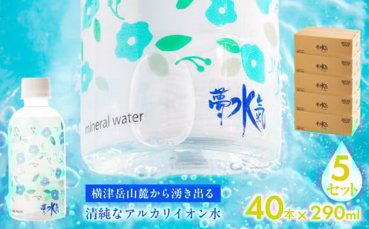 ミネラルウォーター夢水氣（290ml×40本）5セット 天然アルカリイオン水 軟水 【ふるさと納税 人気 おすすめ ランキング 天然アルカリイオン水 天然水 ミネラルウォーター 横津岳山麓 北海道 七飯町 送料無料】 NABI007