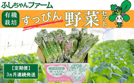 【3ヵ月定期便】すっぴん有機やさいセット(小松菜・水菜・ロメインレタス)【 茨城県 つくば市 定期便 野菜 小松菜 ﾛﾒｲﾝﾚﾀｽ 水菜 ｵｰｶﾞﾆｯｸ 野菜 有機野菜 有機栽培 無農薬 ｵｰｶﾞﾆｯｸ 自然 ｵｰｶﾞﾆｯｸ 詰め合わせ 】