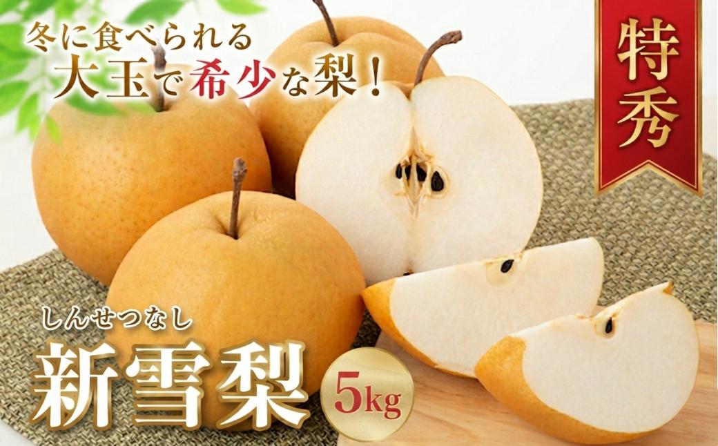 
                  新雪梨(特秀) 5kg
                