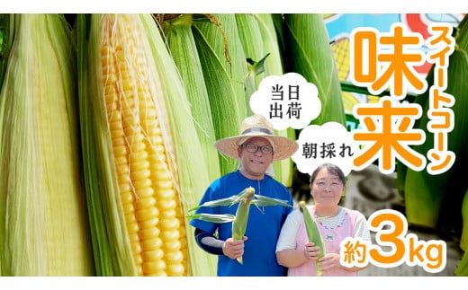 【 朝採れ 当日出荷 】  スイートコーン 「 味来 」 約3kg 甘い 新鮮 皮付き トウモロコシ とうもろこし コーン 野菜 [DX001ci]