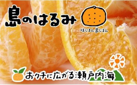 はるみ 4kg 希望の島 柑橘 はるみ 【FT0121】