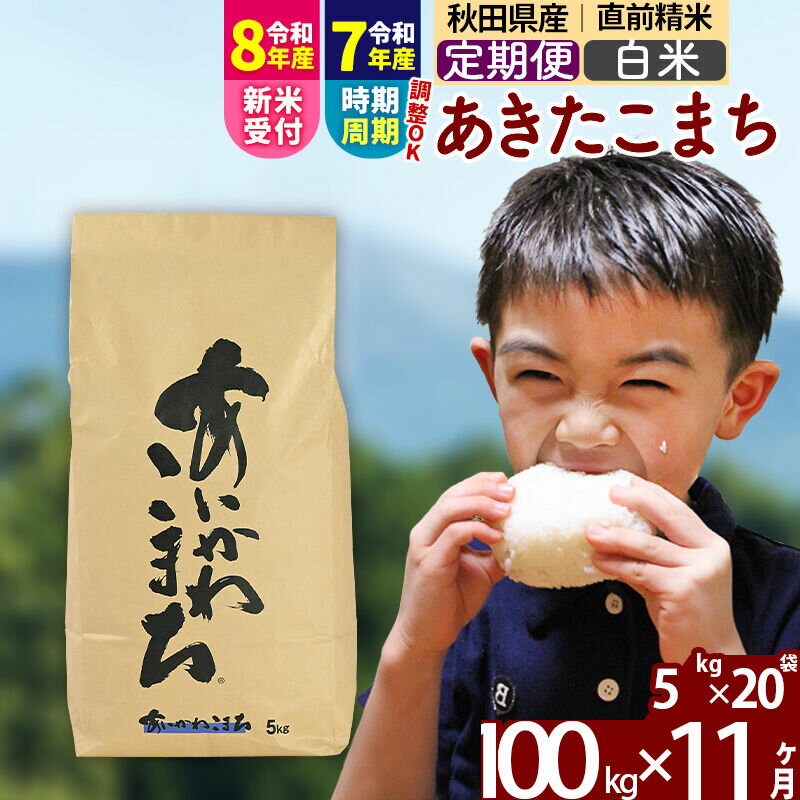 【ふるさと納税】※R8産新米予約※ 《定期便11ヶ月》秋田県産 あきたこまち 100kg【白米】(5kg小分け袋) 2026年産 令和8年産 お届け周期調整可能 隔月に調整OK お米 藤岡農産 [藤岡農産 秋田 お米 あきたこまち 米どころ 東北]
