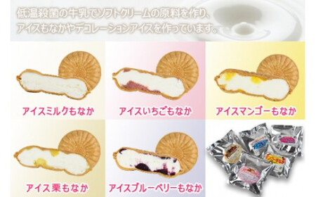 ＜自家製アイスクリームとブルーベリージャムのセット＞2か月以内に順次出荷【c593_sn_x3】 アイス ジャム セット ブルーベリー