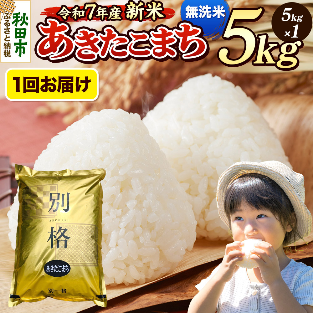《令和7年産 新米》 米 あきたこまち 5kg 【無洗米】 秋田県産