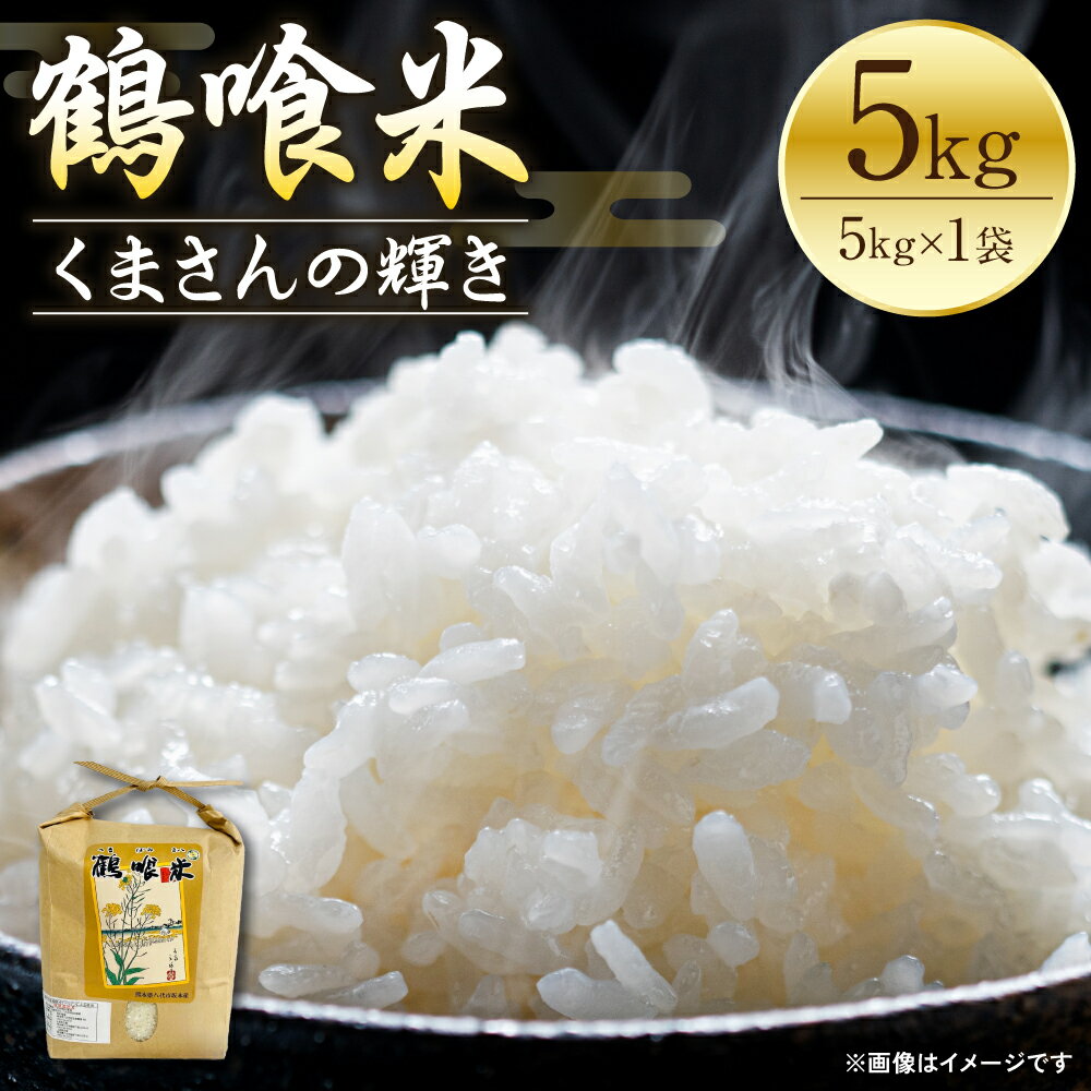 【ふるさと納税】《令和7年産》 鶴喰米 精米5kg くまさんの輝き 米 精米 白米 熊本県産 国産 送料無料