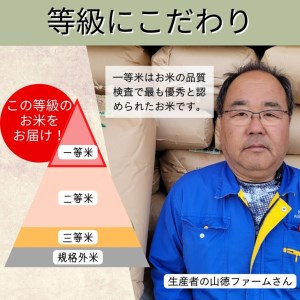 玄米 30kg 京都丹波米 こしひかり◇《米 一等米 コシヒカリ 特別栽培米 減農薬》※北海道・沖縄・離島への配送不可