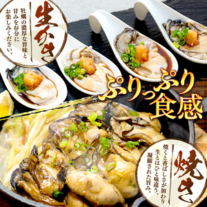 氷温熟成牡蠣 生食用 170g×3袋 (510g) まるたか水産 牡蠣