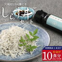 【ふるさと納税】宮崎産 しらす丼 セット 小分け 10食分 400g 老舗醸造所 特製醤油付き マルナカ海産