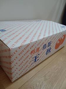 【先行予約】安田農園 梨 ”王秋梨” 5kg箱｜鳥取 岩美 梨 なし ナシ※お届けは2026年11月以降【41029】
