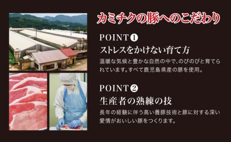 【鹿児島県産】特選豚肉コマ切れ1.5kg&豚ミンチ1.5kg(合計3kg)【訳あり】 ハンバーグ 餃子 お肉 小分け 冷凍 カミチク