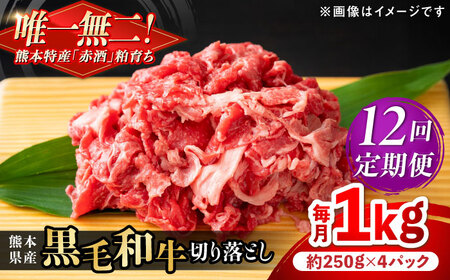 【全12回定期便】熊本県産 『原田畜産』 黒毛和牛 切り落とし 計約1kg（約250g×4パック） 牛肉切り落とし [AYCN047]