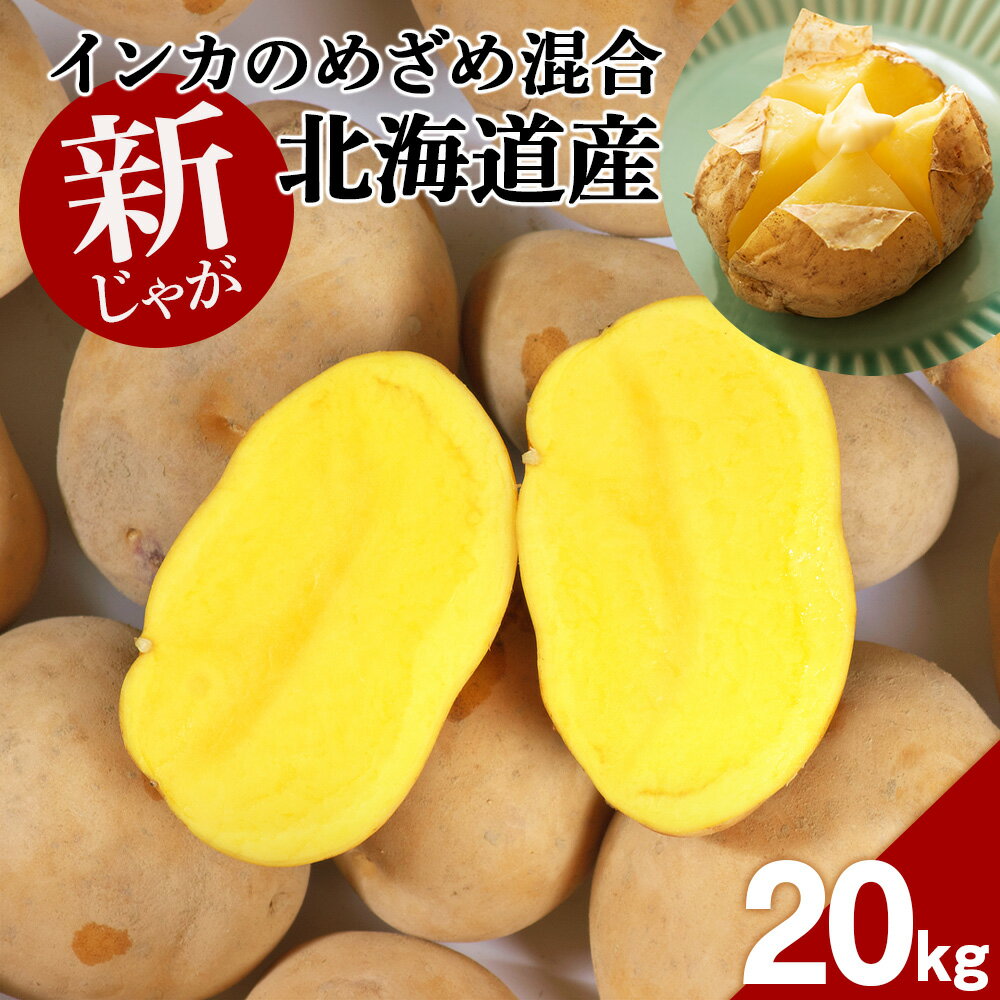 【ふるさと納税】 【 2025年 新じゃが 】インカのめざめ 混合 20kg いも 芋 じゃがいも ジャガイモ インカ 野菜 北海道 千歳【北海道千歳市】ギフト ふるさと納税
