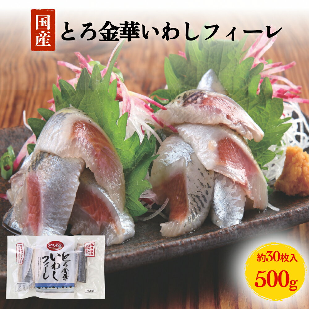 【ふるさと納税】とろ金華いわしフィーレ 500g 生食用 石巻産 金華いわし 鰯 いわし イワシ フィレ 切身 切り身 魚 魚介 海鮮 魚介類 急速冷凍 真いわし 刺身 フライ マリネ 宮城 石巻 宮城県 石巻市 14日以内