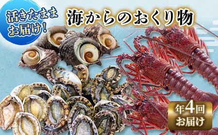 【アワビについて注意事項あり】海鮮セット 定期便 年4回 水産 伊勢海老 刺身 おかず