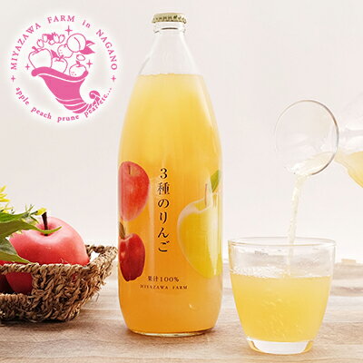 【ふるさと納税】みやざわ農園　無添加3種のりんごジュース　2本セット 飲料類 果汁飲料 リンゴ