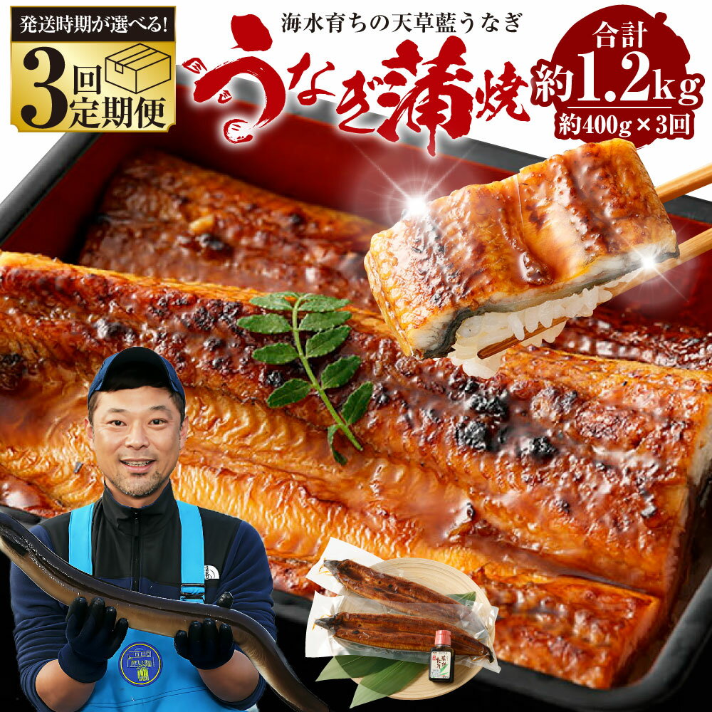 【ふるさと納税】【発送月が選べる3回定期便】【ミシュラン1星店 採用】数量限定!!1日10セット限定!海水育ちの天草藍うなぎ 蒲焼き2尾～3尾セット【合計約400g】鰻 高級 ウナギ ニホンウナギ 熊本産 蒲焼 蒲焼き たれ 贈り物 ご褒美 簡単調理 惣菜 丑の日 送料無料