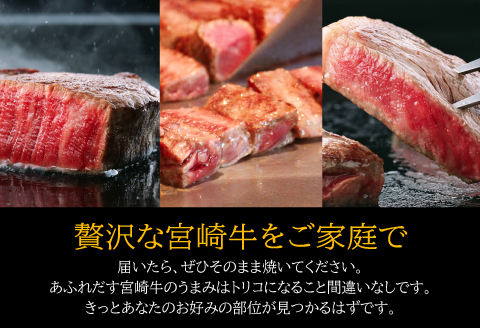 定期便 宮崎牛 だけの ステーキ 3ヶ月 コース |牛肉 牛 肉 サーロインステーキ ももステーキ リブロースステーキ