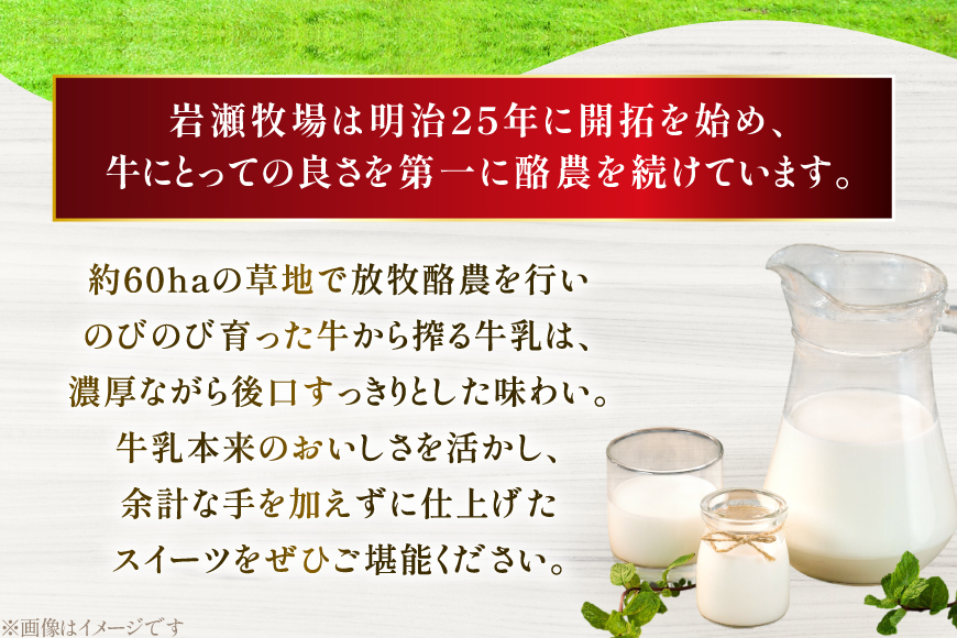 パウンドケーキ 3個 セット フルーツ メイプルくるみ ショコラナッツ 個包装 [岩瀬牧場 北海道 砂川市 12260957] 常温 お菓子 お取り寄せ 洋菓子 詰め合わせ スイーツ 簡易包装