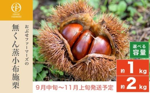 
             無くん蒸小布施栗 約1kg 約2kg 選べる内容量 ［おぶせファーマーズ］ 果物 フルーツ 生栗 くり 長野県産 信州産 令和7年産 【2025年9月中旬〜11月上旬発送】 
          