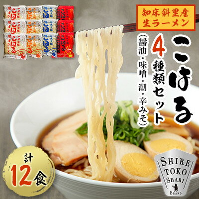 【ふるさと納税】生麺「こはる」12食(4種×3食ずつ)セット【配送不可地域：離島・沖縄県】【1597745】