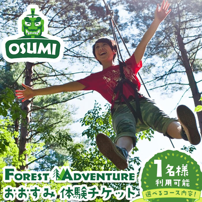 【ふるさと納税】＜選べるコース内容！＞フォレストアドベンチャー・おおすみ 体験チケット アドベンチャーコース or キャノピーコース (1名分) 体験 体験チケット チケット フォレストアドベンチャー アクティビティ 非日常 冒険【フォレストアドベンチャー・おおすみ】