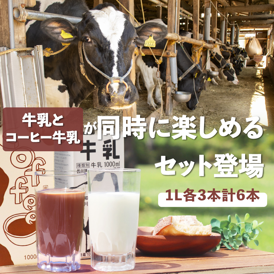 ＜吉本牛乳（さかわの地乳）・ 吉本コーヒー 各1L×3本 合計6本＞ 　　コーヒー牛乳 吉本乳業 高知県 佐川町 成分無調整 生乳100％ ぢちち NHKあさイチで紹介 ご当地牛乳 ご当地コーヒー牛乳