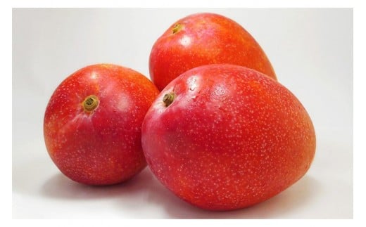 CZ011《先行予約2026年発送》【宮縁果樹園】宮古島産　奇跡のマンゴー　2kg　優品