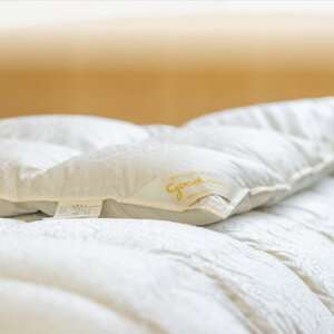 逸品 アイスランド産アイダーダック ダウン98% 冬用羽毛ふとん ダブルサイズ【1457430】