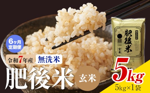 【6ヶ月定期便】熊本県産 肥後米 無洗米 玄米 5kg 1袋5kg 米 お米 令和7年産 九州産 熊本県産 送料無料《お申込み翌月に出荷予定》玄米 無洗米 米