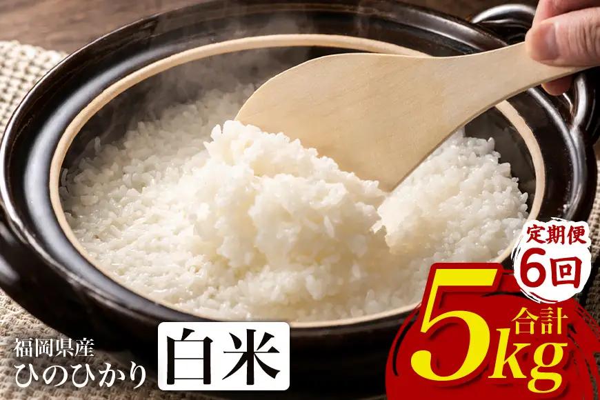 【3回定期便】 ひのひかり 米 お米 玄米 5kg 令和8年産 新米 【JA福岡くるめ にじの耳納の里】 A01-011-BW03-305