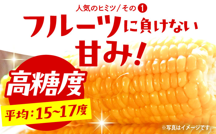 【先行予約】＜2024年6月中旬以降発送>スイートコーン ゴールドラッシュ 8本?10本【八丁屋】とうもろこし [HAO001]