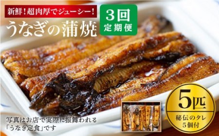 【3回定期便】国産 うなぎ 5匹［CCA011］＜入口屋＞ うなぎ うなぎ 鰻 うなぎ うなぎ 鰻 うなぎ うなぎ