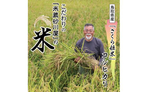 【2026年9月下旬～発送予定】鹿野のさくら姫米 3kg