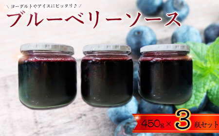 ブルーベリーソース3瓶セット ／ ブルーベリー 砂糖 レモン果汁 シンプル ヨーグルト アイス お菓子 パン おやつ 千葉県 No.359