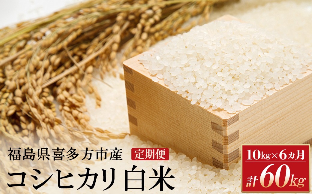 
                  【令和8年産先行予約！】特別栽培米コシヒカリ　白米　10kg(5kg×2袋)　6か月定期便(計60kg)　[米・食味分析鑑定コンクール国際大会 特別優秀賞受賞]　【07208-1008】
                