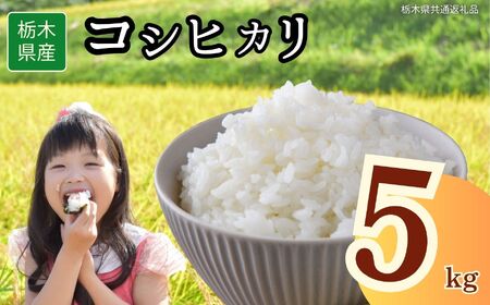 栃木県産 コシヒカリ 5kg | 栃木県 下野市