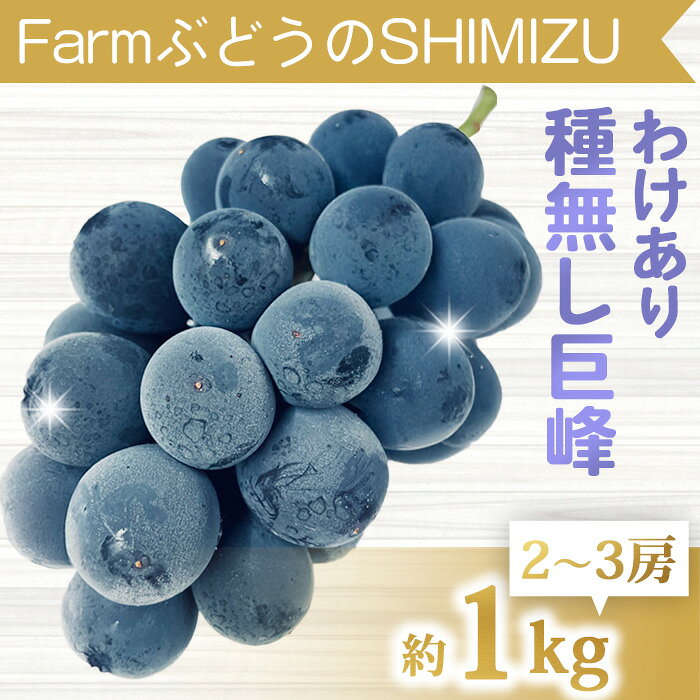 【ふるさと納税】【先行受付2026年発送】わけあり種無し巨峰約1kg（2～3房）｜清水農園　※2026年9月上旬以降発送予定※月曜日、金曜日の発送はお休み