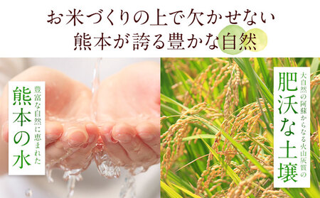 【隔月3回定期便】阿蘇びより 無洗米 20kg (5kg×4袋)《1月から出荷開始》 ｜国産米 人気米 熊本県産米 お米