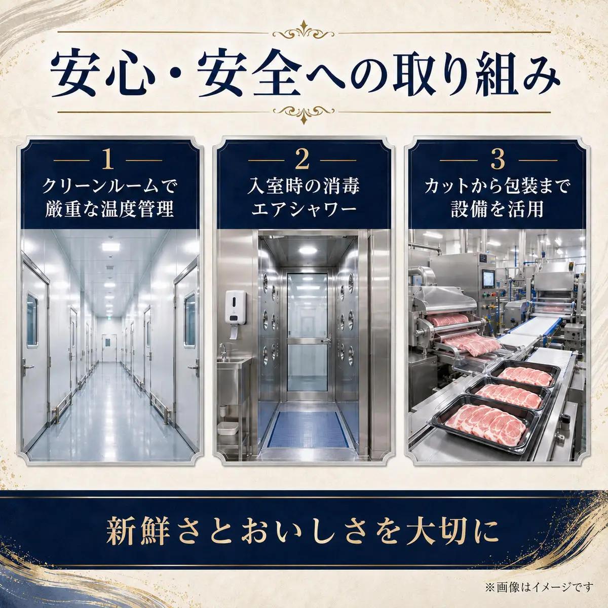 讃岐もち豚 ローススライス・テキカツ 各500gセット お肉 豚肉 