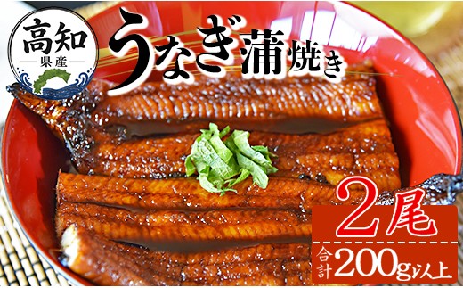【大人気！】高知県産 うなぎ蒲焼き 100～120g 2尾セット
