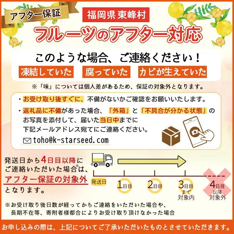 福岡県ブランド いちじく 「とよみつひめ」約1.2ｋｇ(約300ｇ×4パック)  | 無花果 イチジク 美容 ジャム 旬 果物 フルーツ 生 旬 朝ごはん 朝食 デザート お取り寄せ 送料無料 福岡県