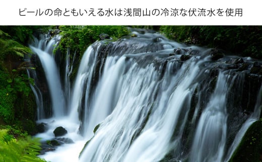 THE軽井沢ビール　10種10缶　飲み比べ　ギフトセット　11カ月定期便