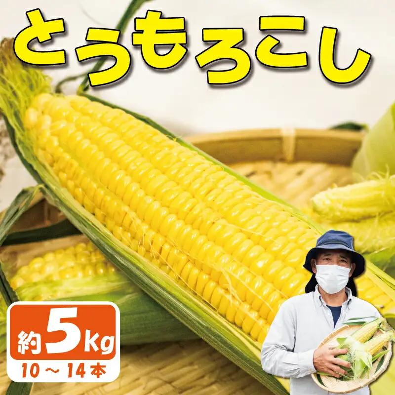 とうもろこし スイートコーン 5kg とうもろこし