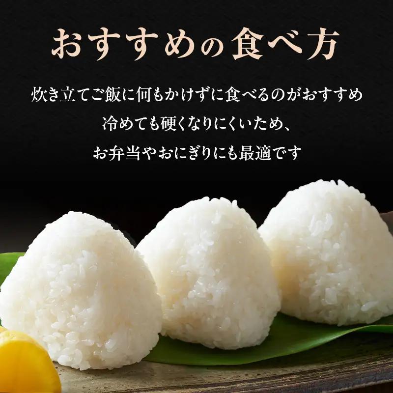 令和7年産 特別栽培米 にこまる 白米 5kg (5kg×2袋)精米 お米 こめ コメ ごはん ご飯 単一原料米