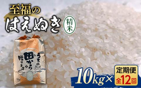 『定期便』令和5年産米 至福のはえぬき（精米）10kg 全12回 米 お米 おこめ 山形県 新庄市 F3S-1610