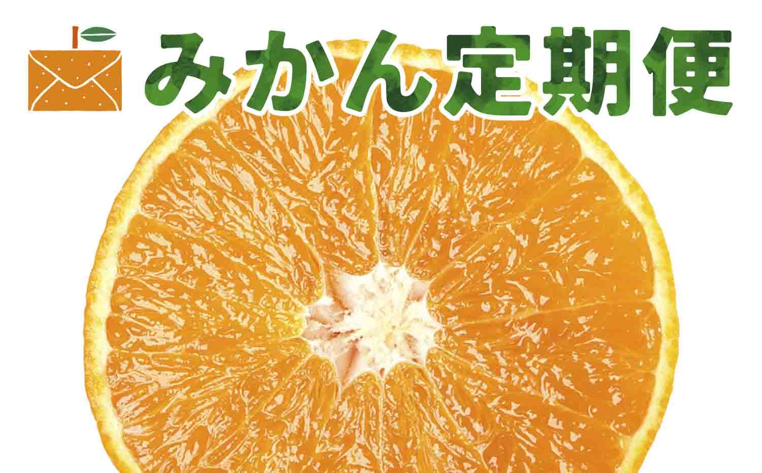 
                  ＜発送月固定定期便＞コウ果樹園の人気柑橘定期便＜H33-44＞全4回【4053172】 YWTG026
                