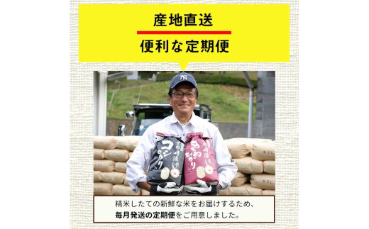 【毎月1回お届け（10月発送）】【9月より新米】【定期便】令和7年産 令和8年産 京都丹波米 こしひかり10kg×6回 計60kg◇◆◇ 米 6ヶ月 白米 6回定期便 ※精米したてをお届け コシヒカリ