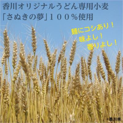 ふるさと納税 香川県 「さぬきの夢」小麦 讃岐うどん 16食 |  | 01