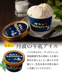 丹波篠山 素材を味わうアイスクリーム　プレミアムセット　12個（3種類×4個） KMH006