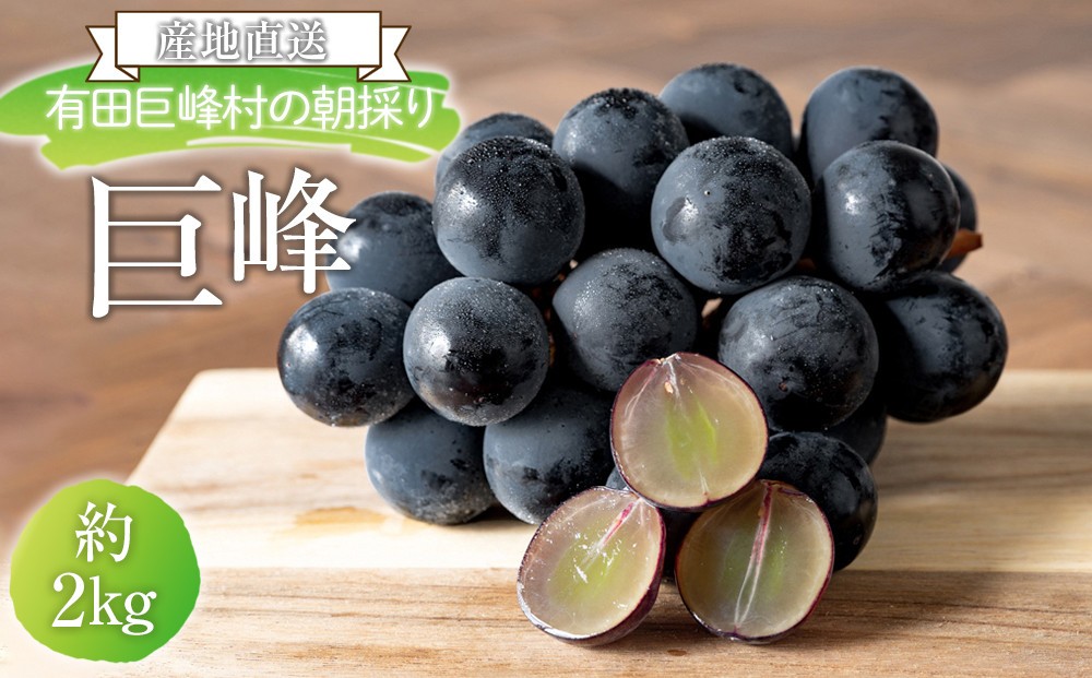 
                  ［先行予約］［新鮮・産直］和歌山県有田巨峰村の朝採れ巨峰約2kg［2027年8月上旬より順次発送予定］
                